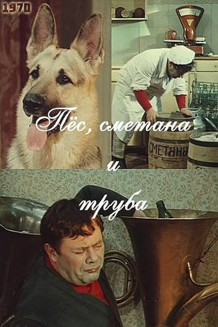 Пес, сметана и труба i gruppen Alla filmer hos Mohamad shop (536378)