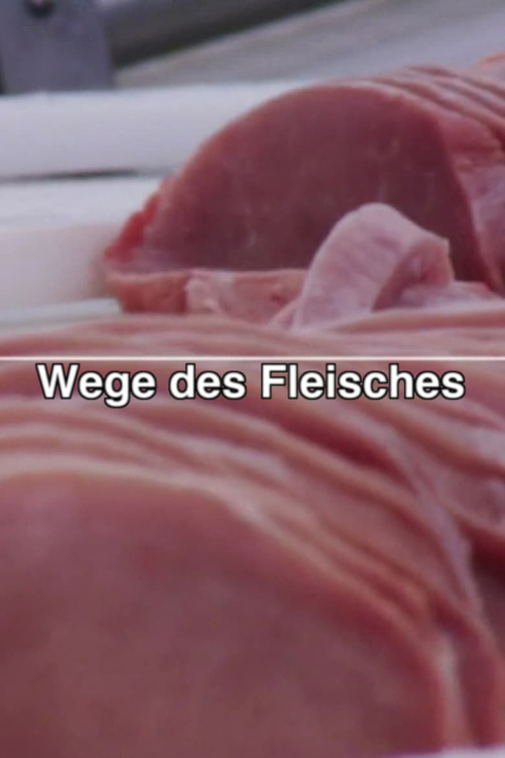 Wege des Fleisches i gruppen Alla filmer / Documentary hos Mohamad shop (536501)
