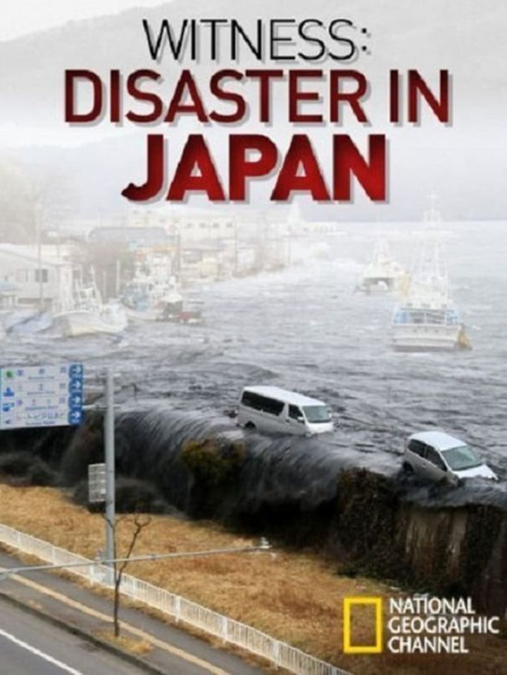 Witness: Disaster in Japan i gruppen Alla filmer hos Mohamad shop (536551)
