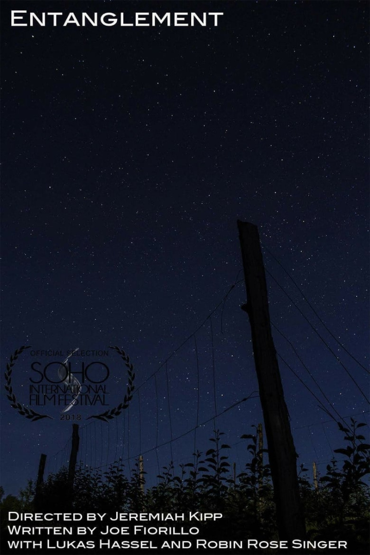 Entanglement i gruppen Drama hos Mohamad shop (536675)