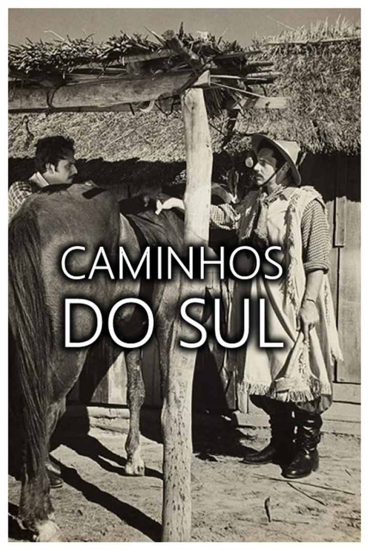 Caminhos do Sul i gruppen Alla filmer hos Mohamad shop (536824)