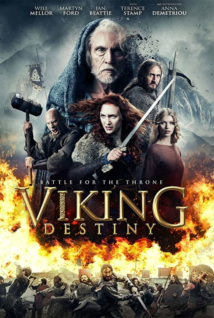 Viking Destiny i gruppen Action hos Mohamad shop (537347)