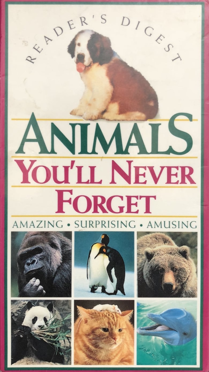 Animals You\'ll Never Forget i gruppen Alla filmer / Documentary hos Mohamad shop (537729)