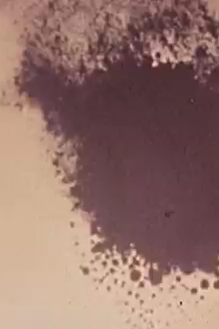 The Flight of Icarus i gruppen Alla filmer / Documentary hos Mohamad shop (537825)