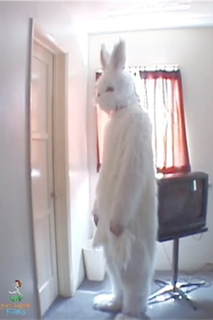 Holiday Weekend i gruppen Komedi hos Mohamad shop (538194)