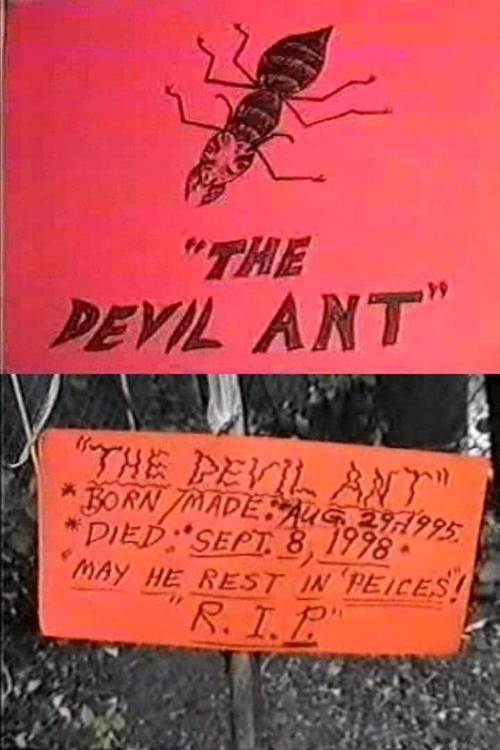 The Devil Ant i gruppen Alla filmer hos Mohamad shop (538208)