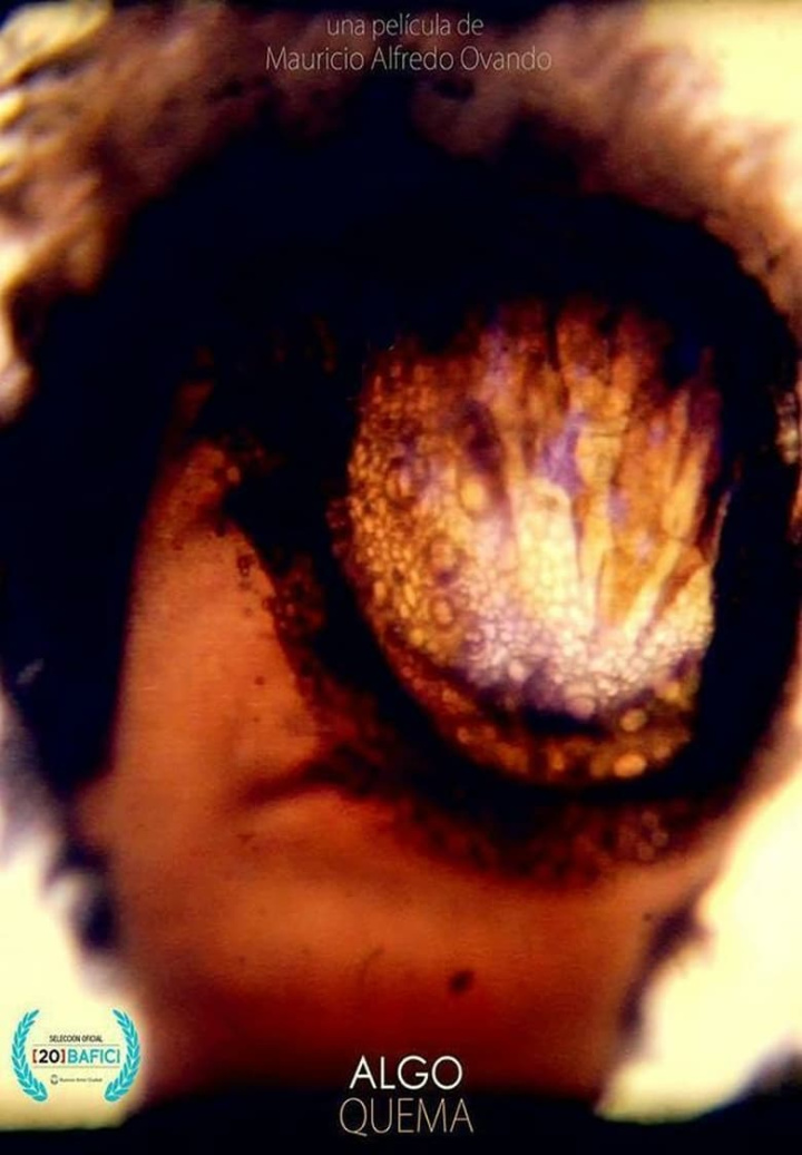 Still Burn i gruppen Alla filmer hos Mohamad shop (538393)