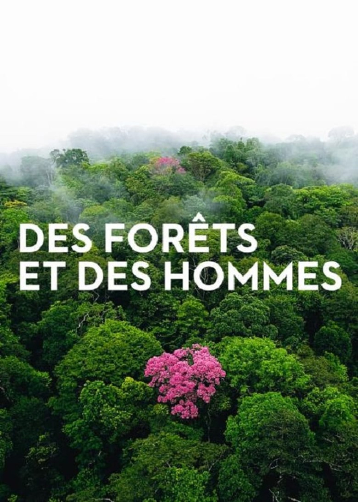 Des Forêts et des Hommes i gruppen Alla filmer hos Mohamad shop (538821)