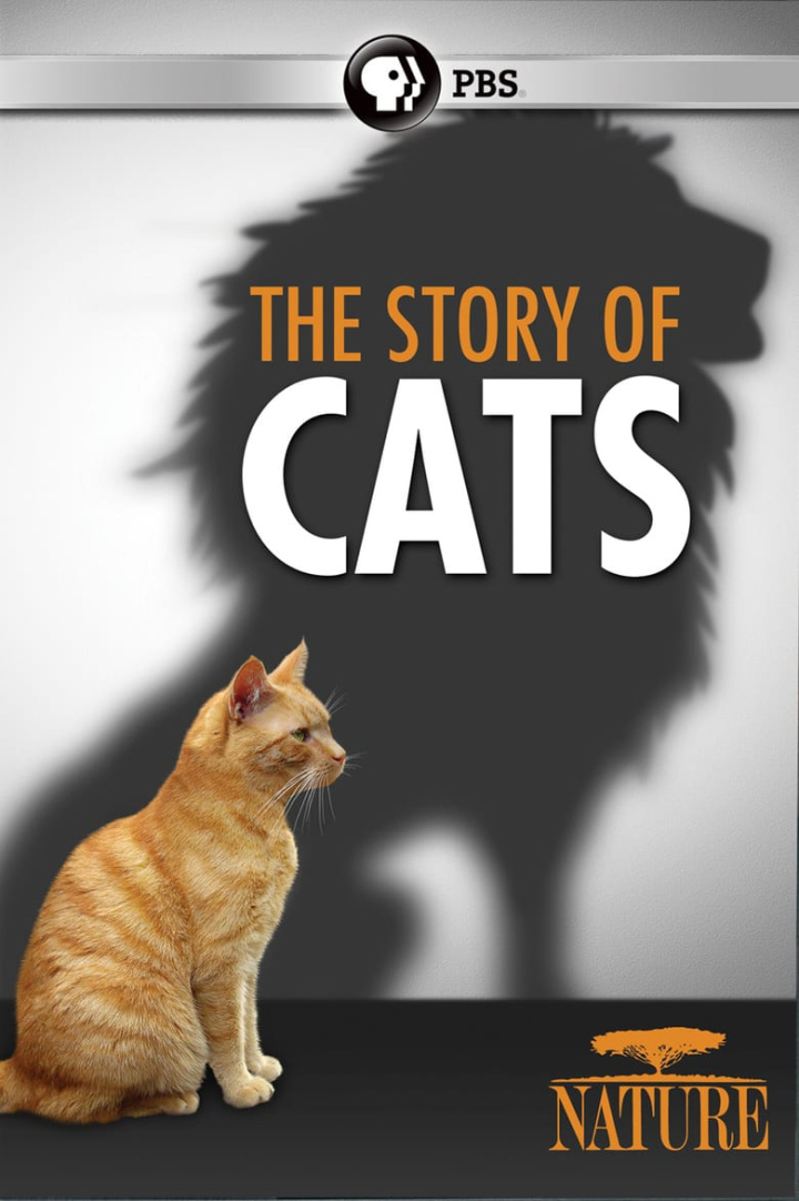 The Story of Cats i gruppen Alla filmer hos Mohamad shop (539343)