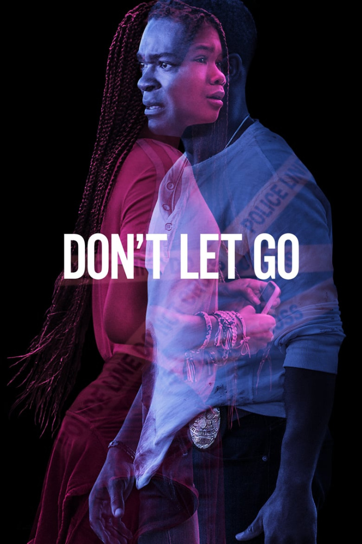Don\'t Let Go i gruppen Thriller hos Mohamad shop (539651)