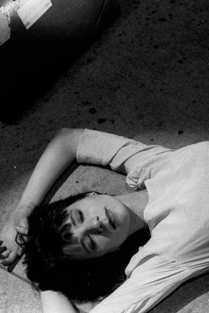 Wonderland USA i gruppen Drama hos Mohamad shop (539682)