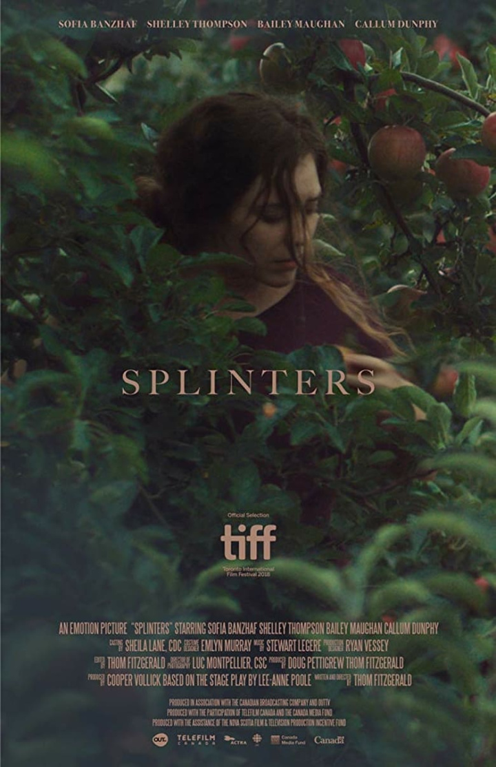 Splinters i gruppen Alla filmer / Drama hos Mohamad shop (539778)