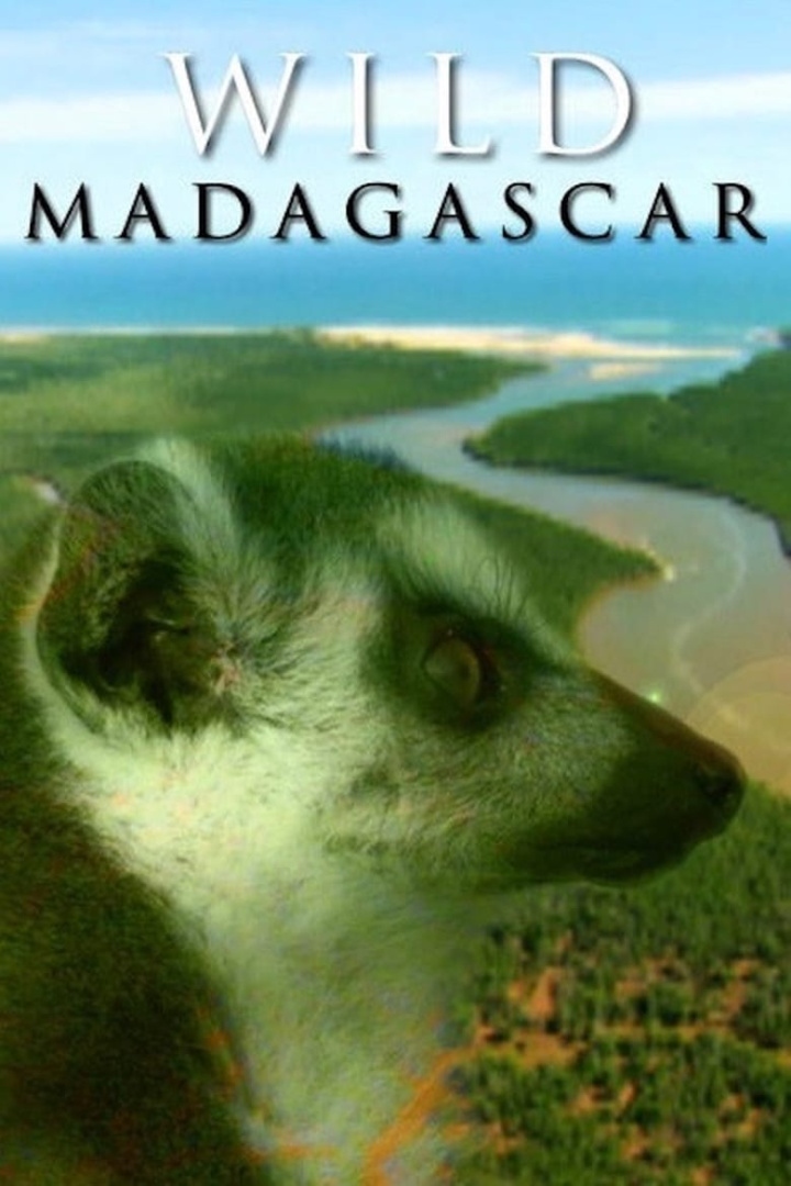 Wild Madagascar i gruppen Alla filmer hos Mohamad shop (539785)