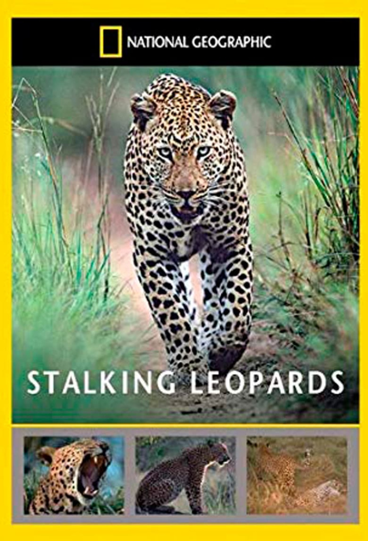 National Geographic: Stalking Leopards i gruppen Alla filmer hos Mohamad shop (540208)