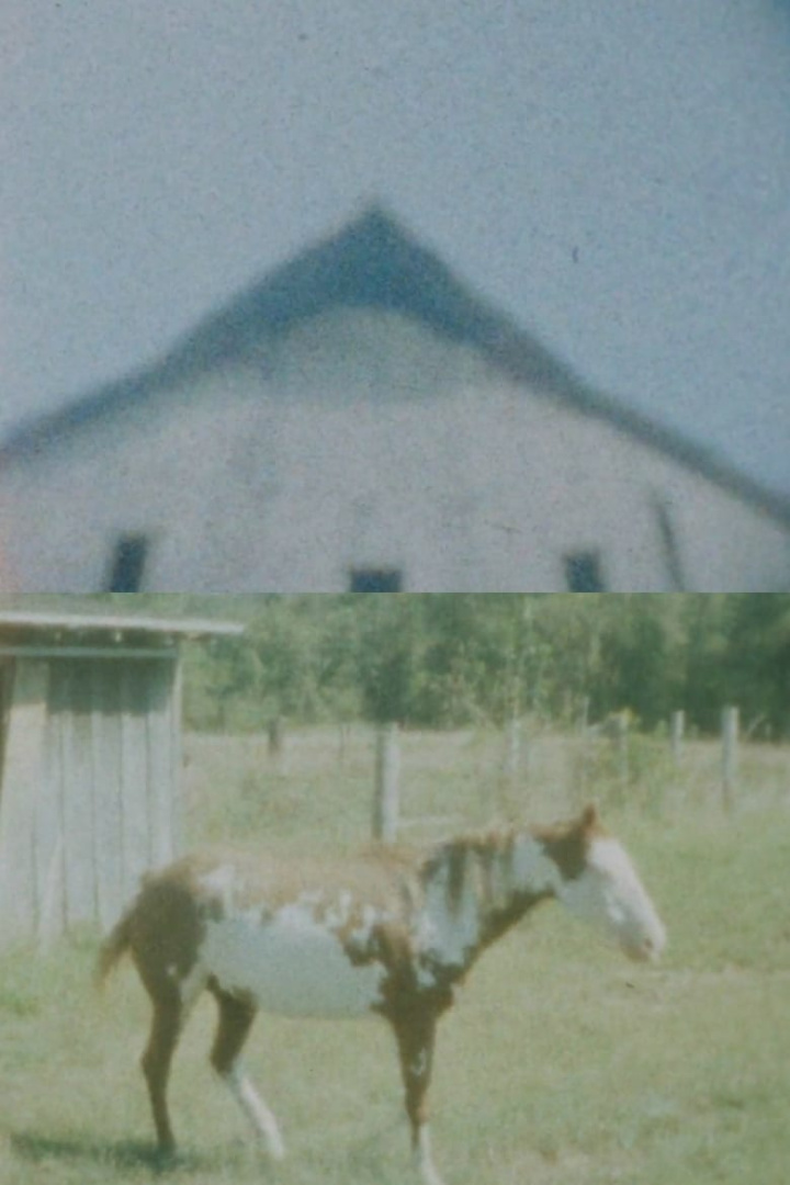 Our Landmark: My Fair Share i gruppen Alla filmer hos Mohamad shop (540504)