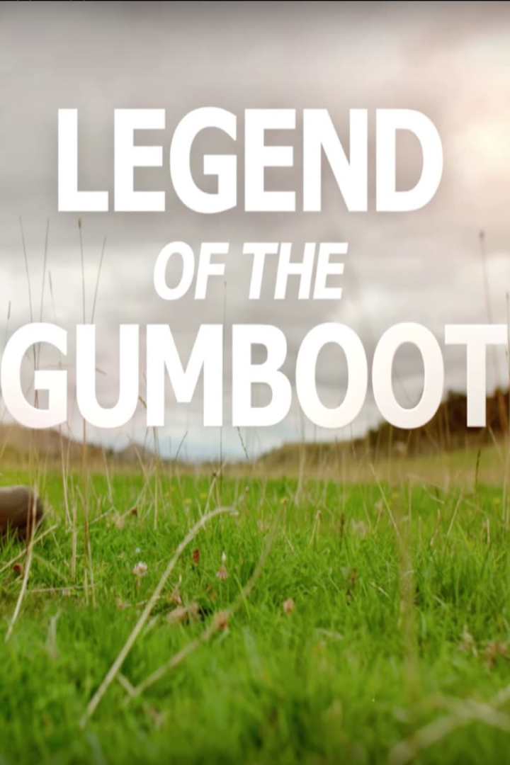 How to DAD the Movie: Legend of the Gumboot i gruppen Komedi hos Mohamad shop (540568)