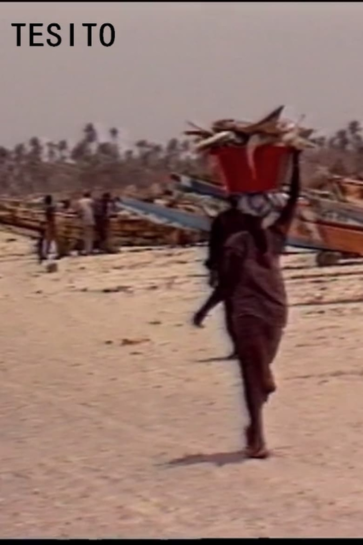 Tesito i gruppen Alla filmer hos Mohamad shop (540718)