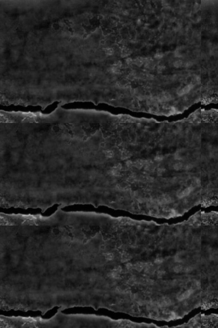 A Radical Film i gruppen Alla filmer hos Mohamad shop (540847)