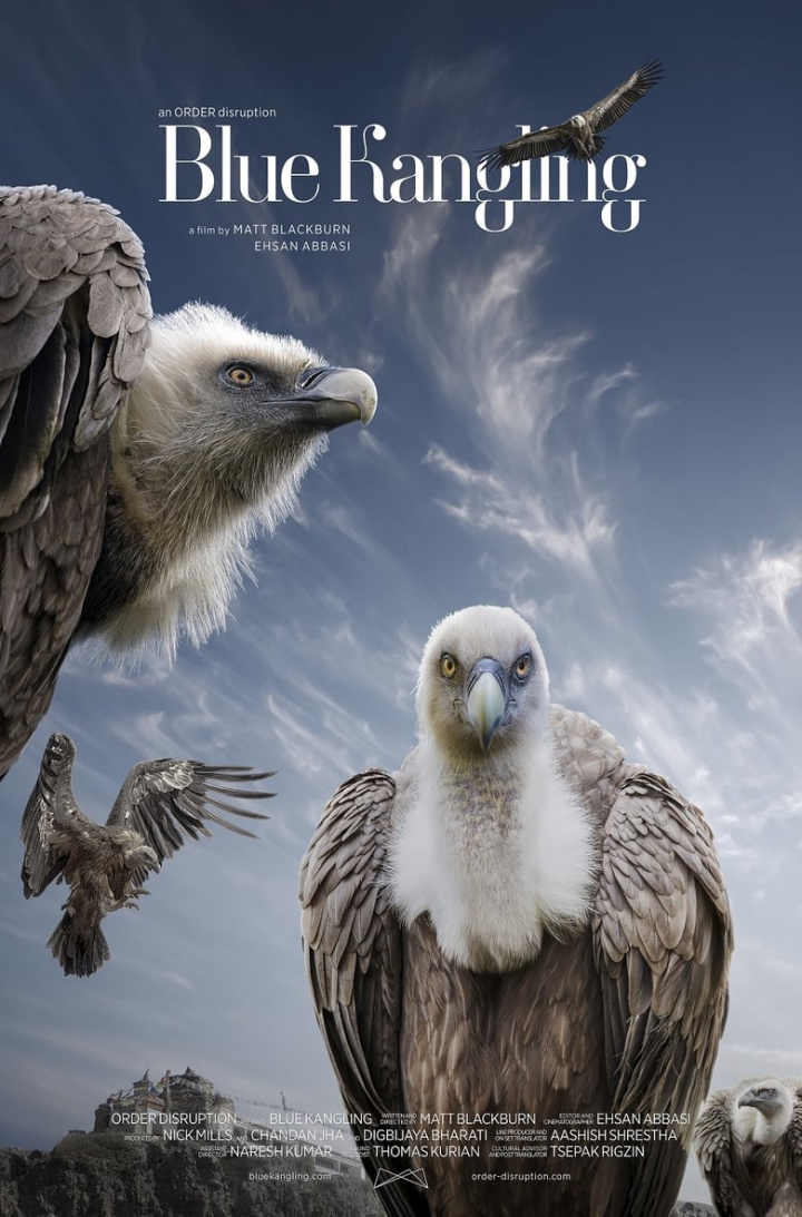 Blue Kangling i gruppen Alla filmer hos Mohamad shop (541290)