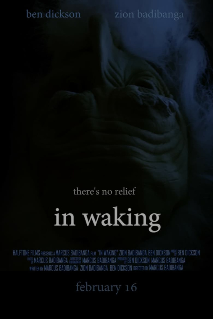 In Waking i gruppen Alla filmer / Horror hos Mohamad shop (542028)