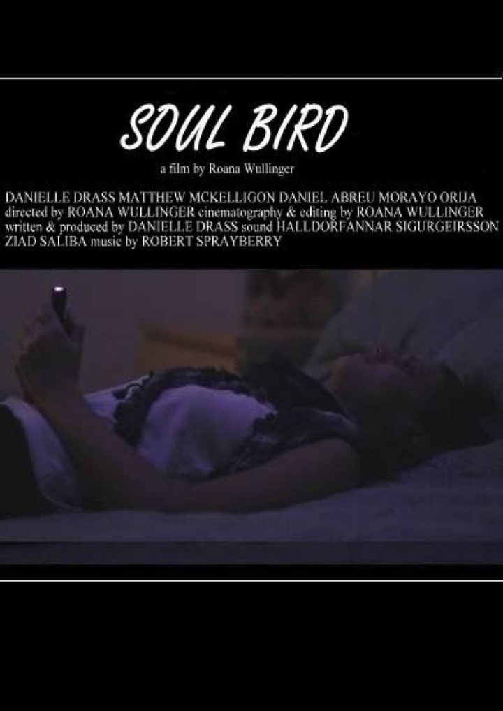 Soul Bird i gruppen Alla filmer / Drama hos Mohamad shop (542136)