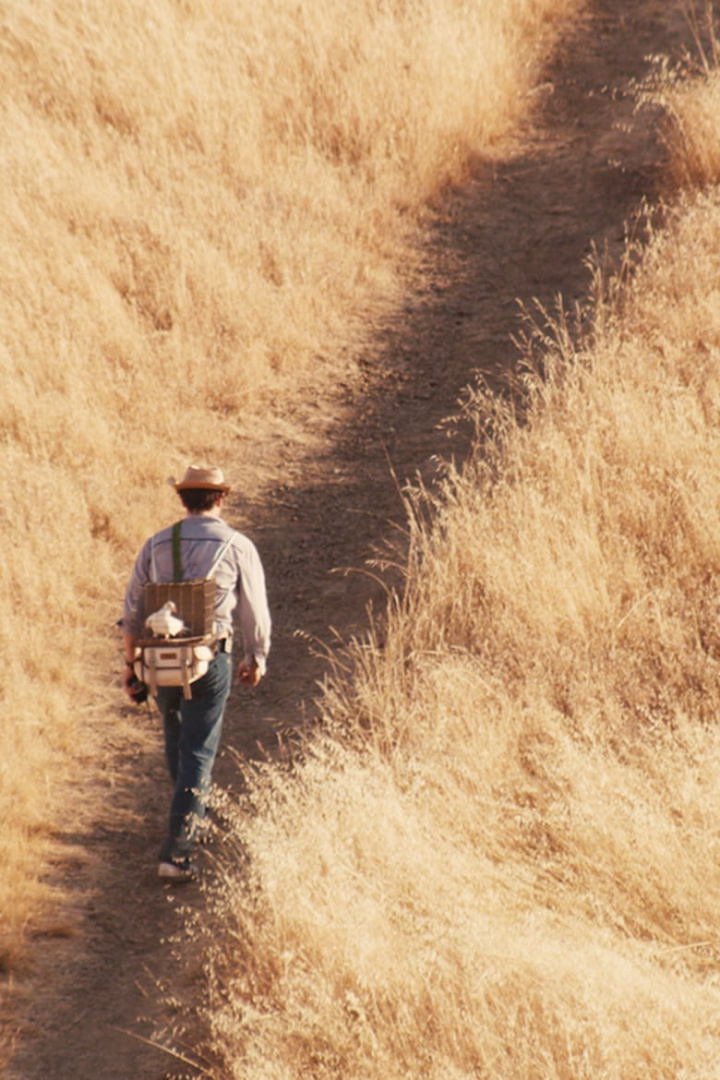 Untitled Ari Gold Project i gruppen Alla filmer hos Mohamad shop (542181)