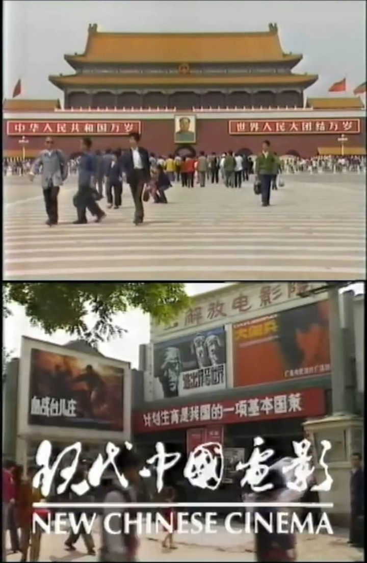New Chinese Cinema i gruppen Alla filmer hos Mohamad shop (542501)