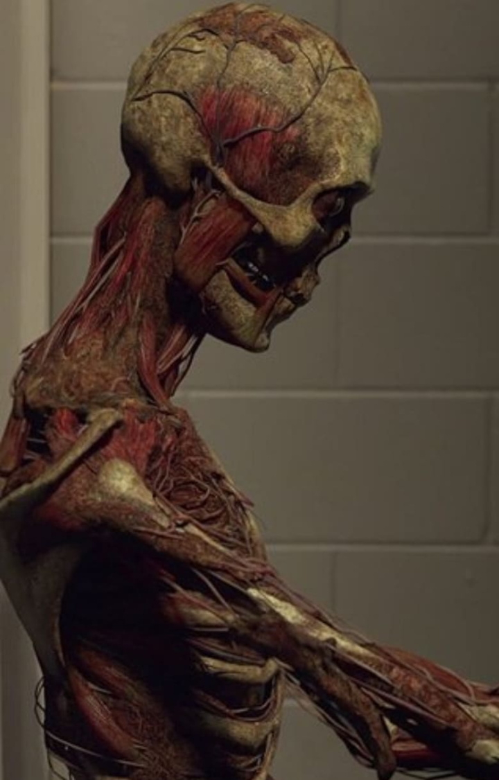 Tom i gruppen Alla filmer hos Mohamad shop (542616)