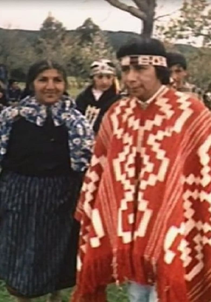 Somewhere North of Tierra del Fuego i gruppen Alla filmer hos Mohamad shop (542810)