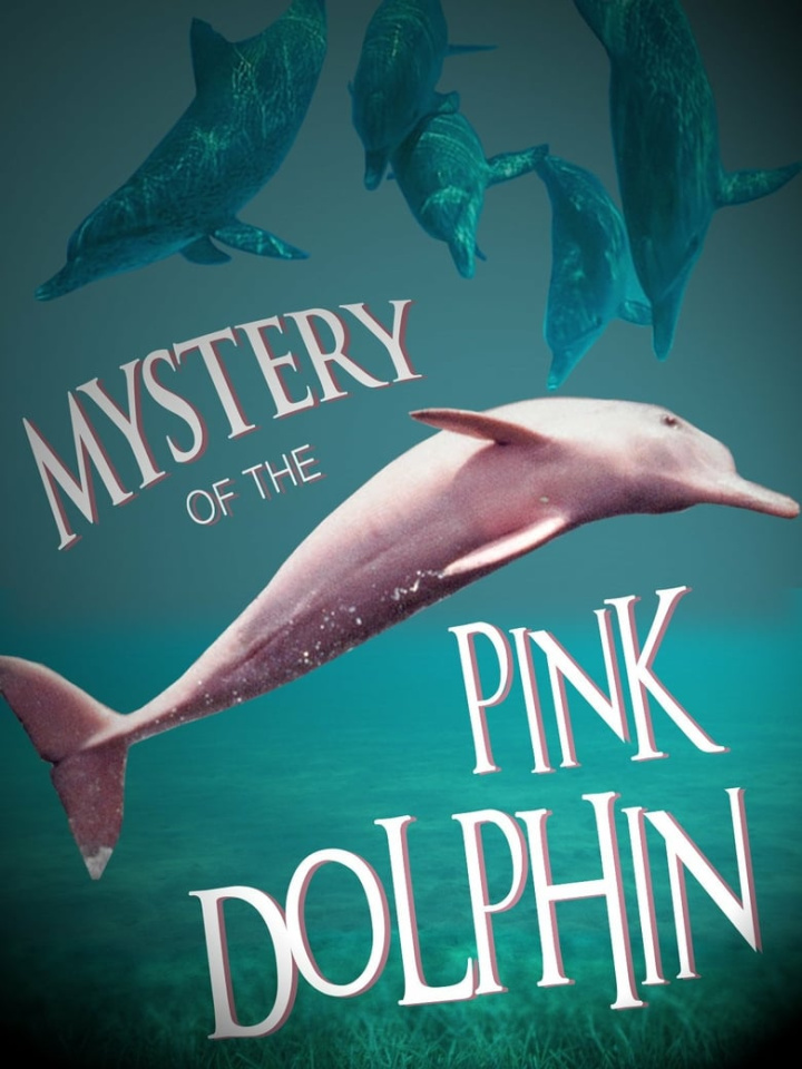 The Mystery of the Pink Dolphin i gruppen Alla filmer hos Mohamad shop (542841)
