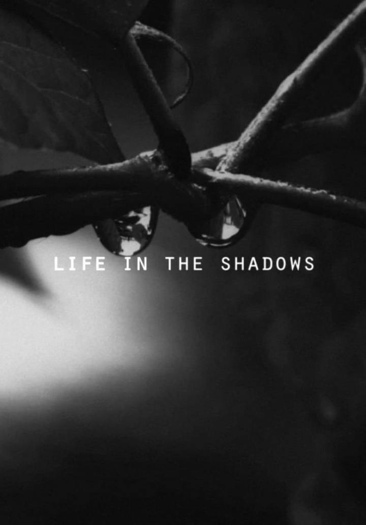 Life in the Shadows i gruppen Alla filmer hos Mohamad shop (543451)