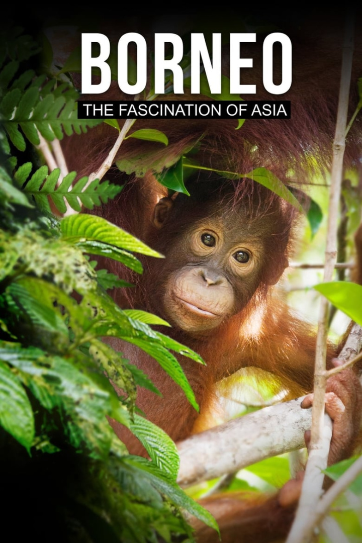 Borneo: The Fascination of Asia i gruppen Alla filmer hos Mohamad shop (543480)