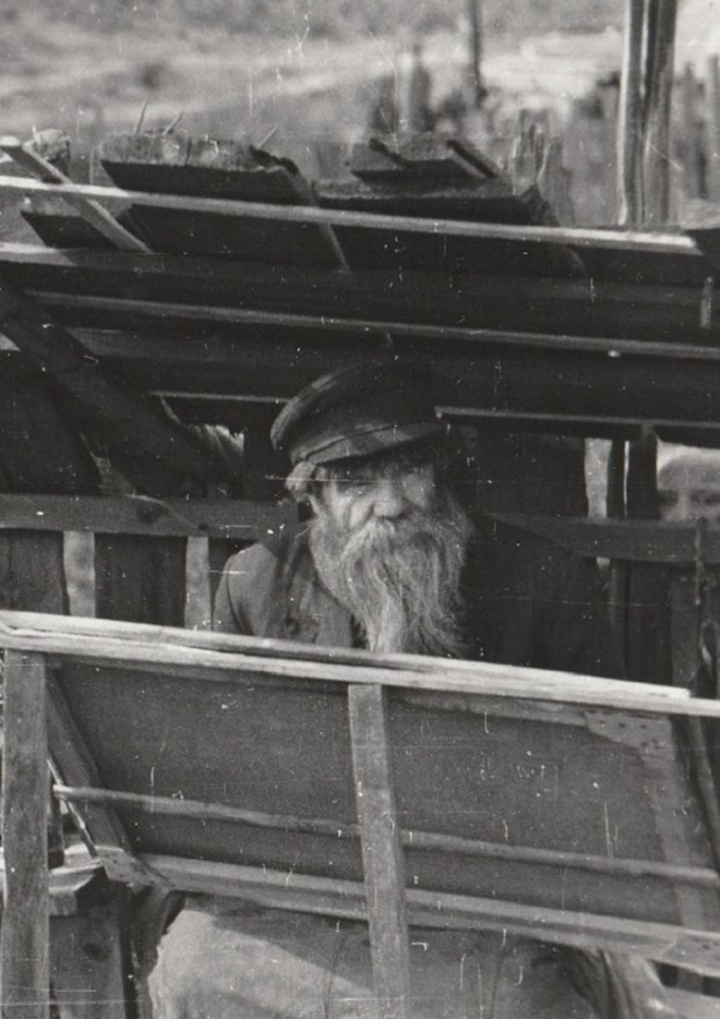 Ivan Selivanov i gruppen Alla filmer hos Mohamad shop (543592)