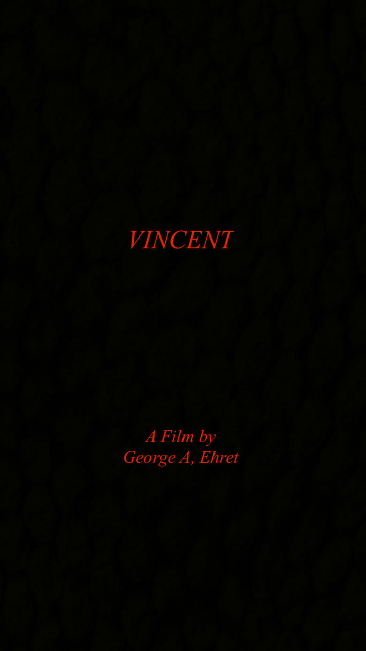 Vincent i gruppen Alla filmer / Drama hos Mohamad shop (544184)