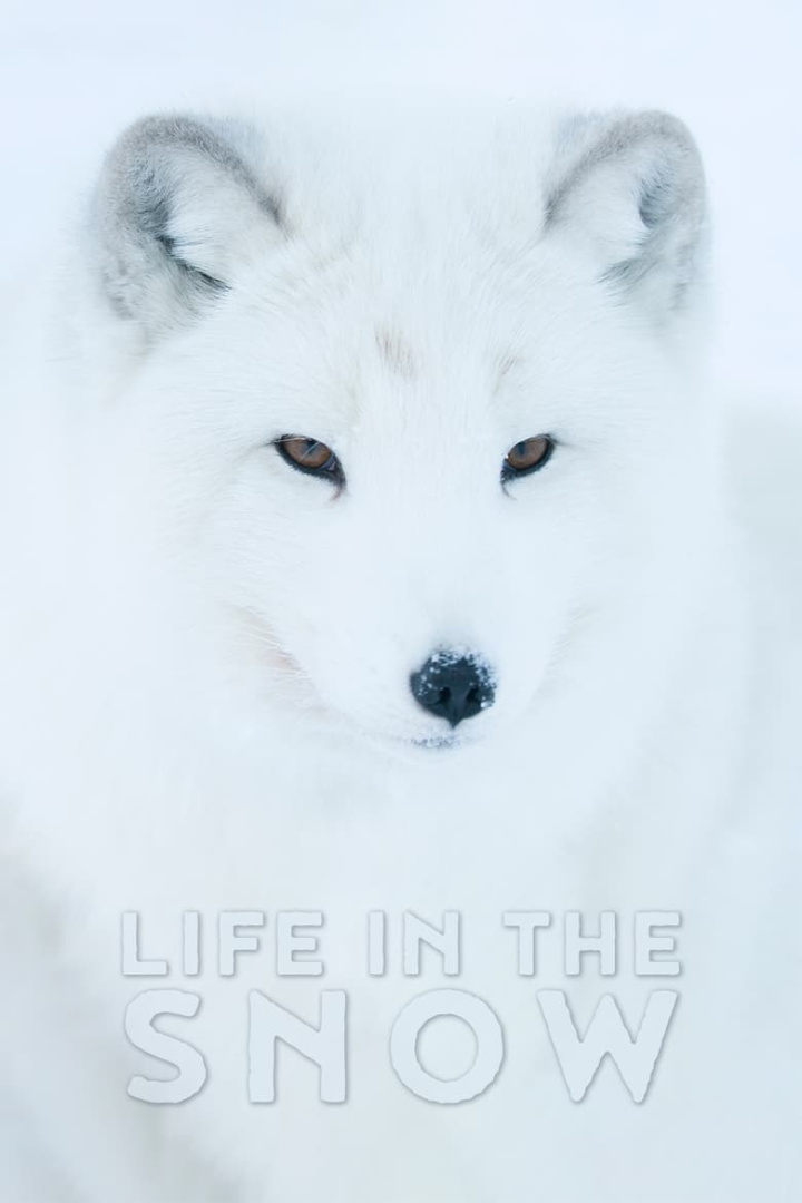 Life In The Snow i gruppen Alla filmer / Documentary hos Mohamad shop (544185)