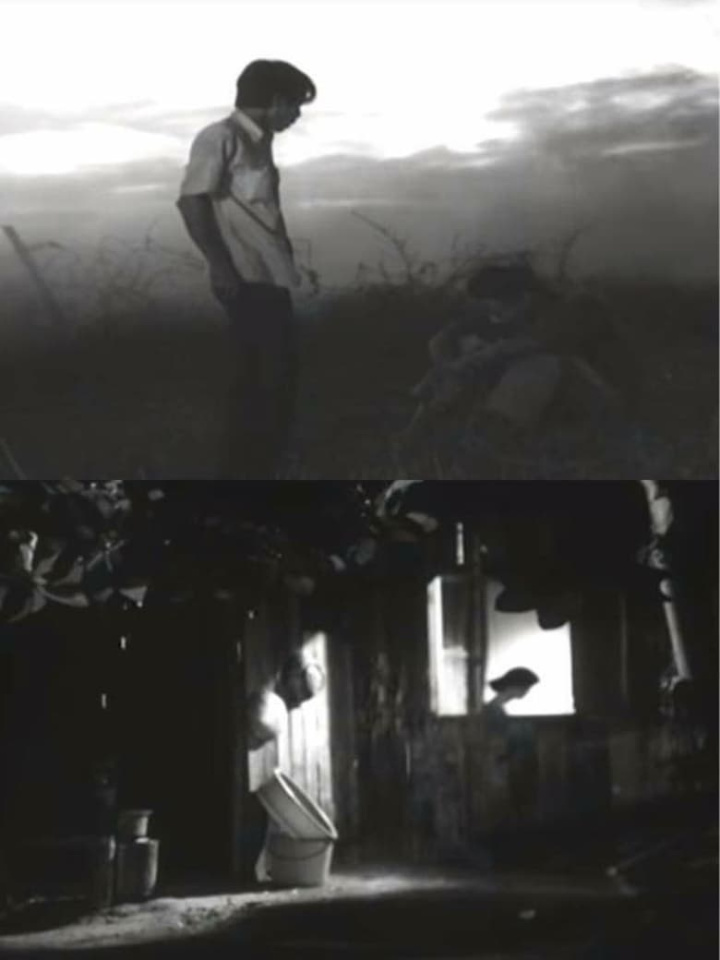 The Last Distance Between Us i gruppen Drama hos Mohamad shop (544573)