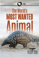 The World\'s Most Wanted Animal