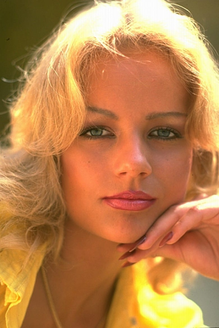 Vanity Fair: Jeanette Starion the Pet of the Year i gruppen Alla filmer hos Mohamad shop (546073)