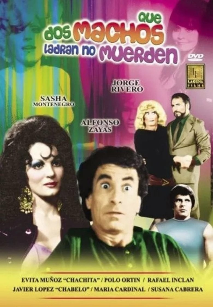 Dos machos que ladran no muerden i gruppen Alla filmer hos Mohamad shop (546192)