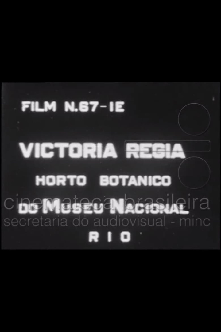 Victória Régia: Horto Botânico do Museu Nacional i gruppen Alla filmer / Documentary hos Mohamad shop (546387)