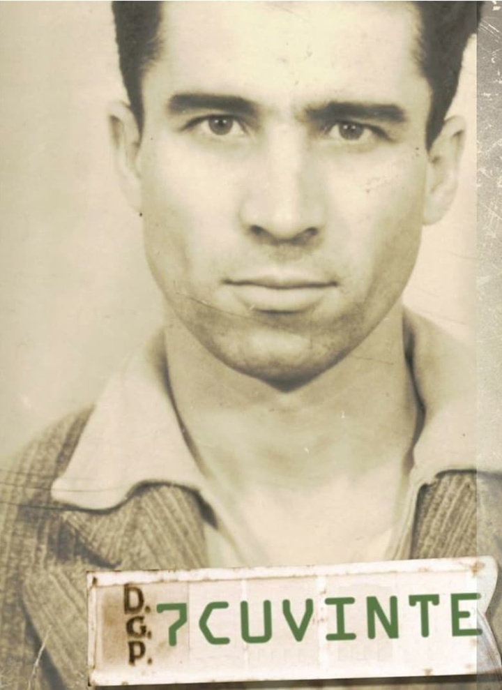 Seven Words i gruppen Alla filmer / Documentary hos Mohamad shop (546485)