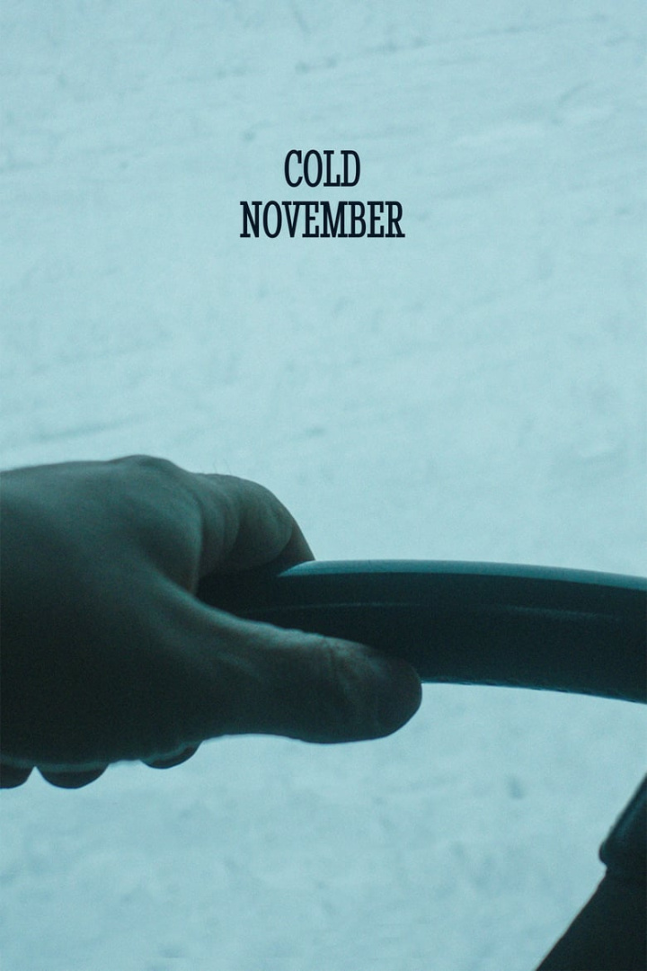 Cold November i gruppen Alla filmer / Thriller hos Mohamad shop (546550)