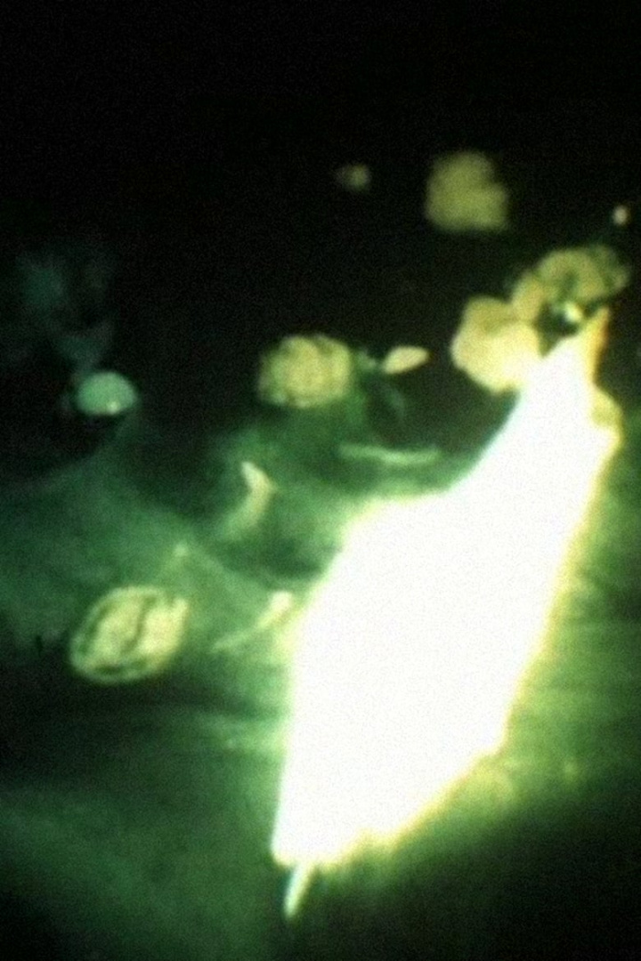 Bermuda Wheel i gruppen Alla filmer / Animation hos Mohamad shop (546800)