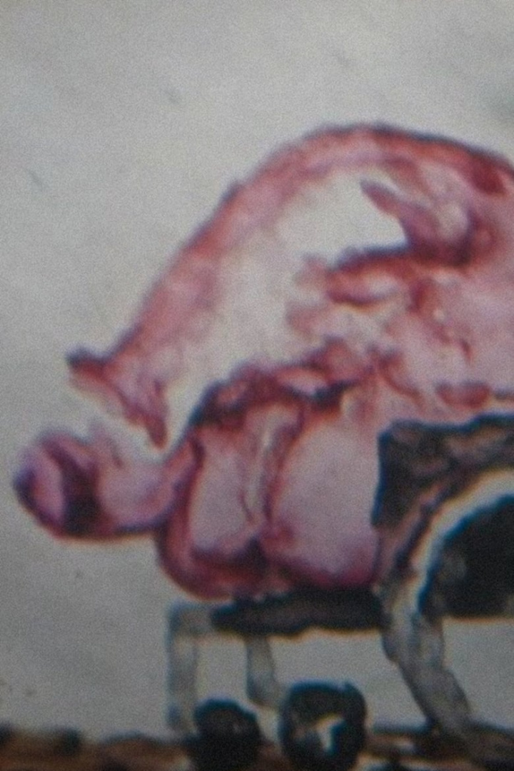 Spoken Movie 1 i gruppen Alla filmer / Animation hos Mohamad shop (546808)