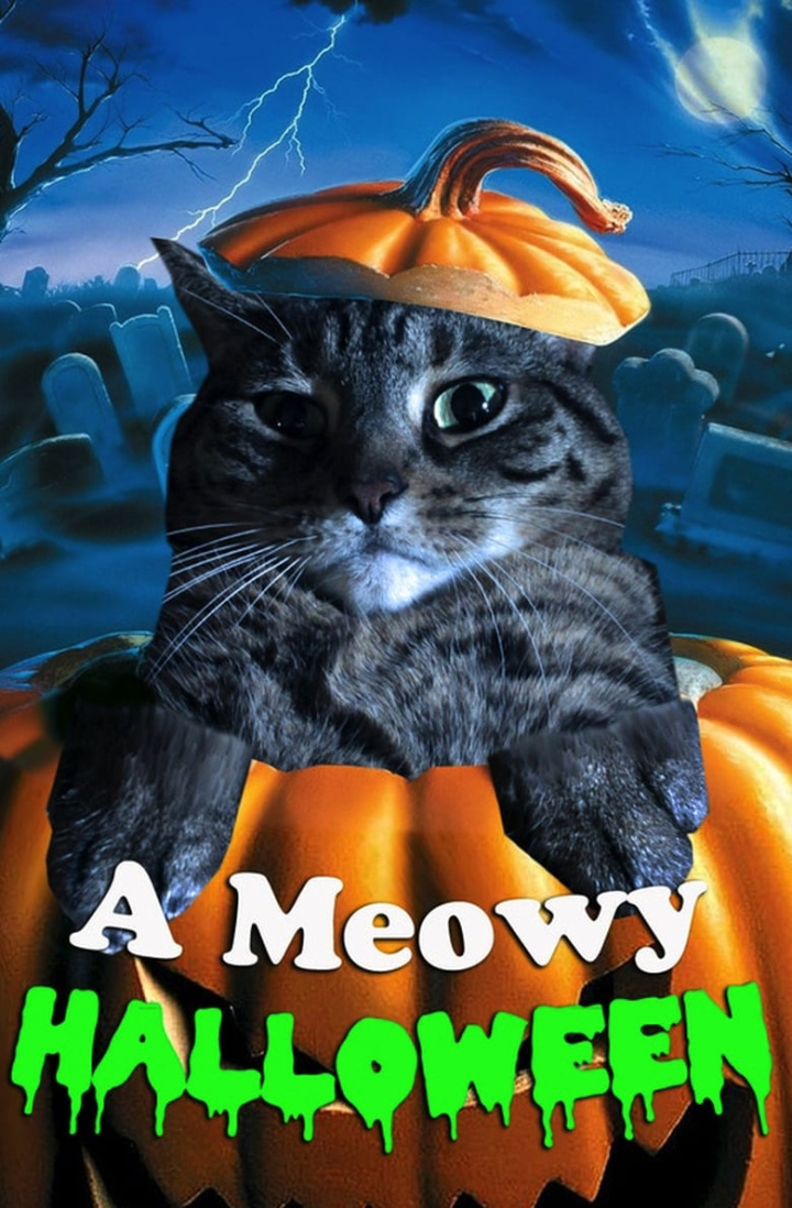 A Meowy Halloween i gruppen Alla filmer / Comedy hos Mohamad shop (546943)