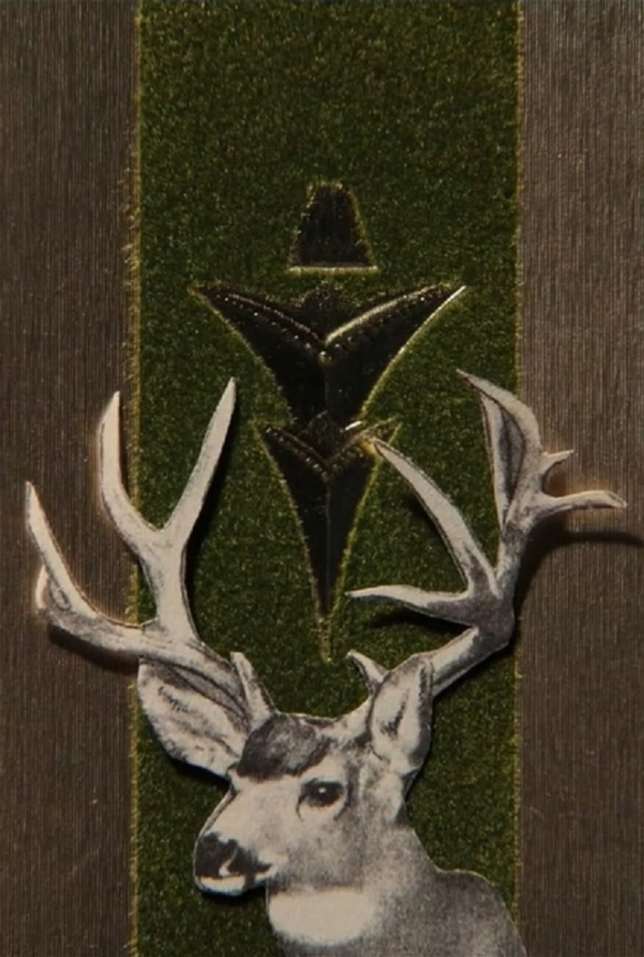 Black River Falls i gruppen Alla filmer hos Mohamad shop (546956)