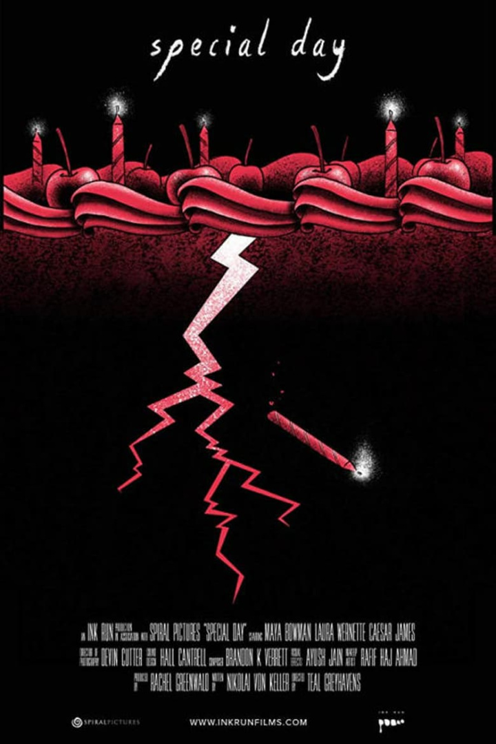 Special Day i gruppen Alla filmer / Horror hos Mohamad shop (547088)