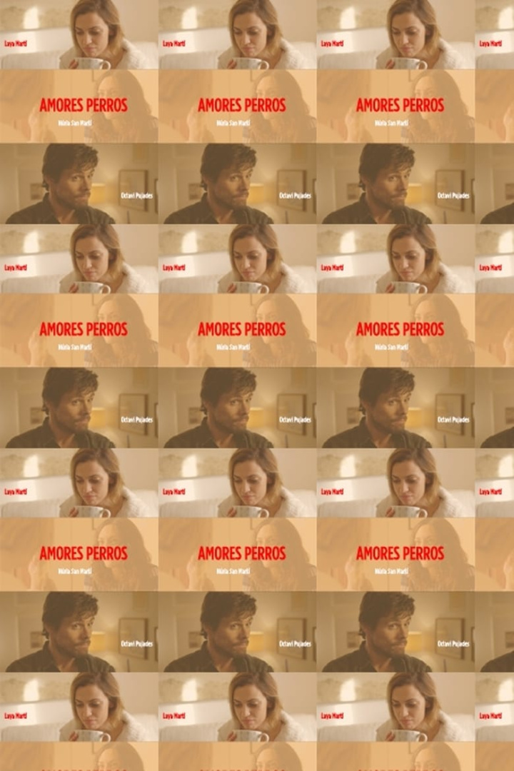 Amores perros i gruppen Alla filmer hos Mohamad shop (547329)