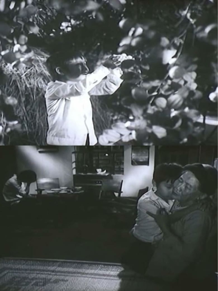 When Grandmother is away i gruppen Alla filmer / Drama hos Mohamad shop (547341)