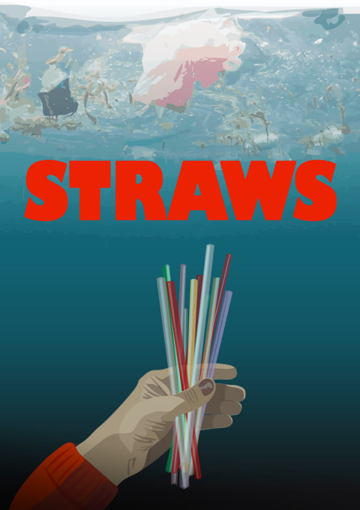 Straws i gruppen Alla filmer / Documentary hos Mohamad shop (547694)